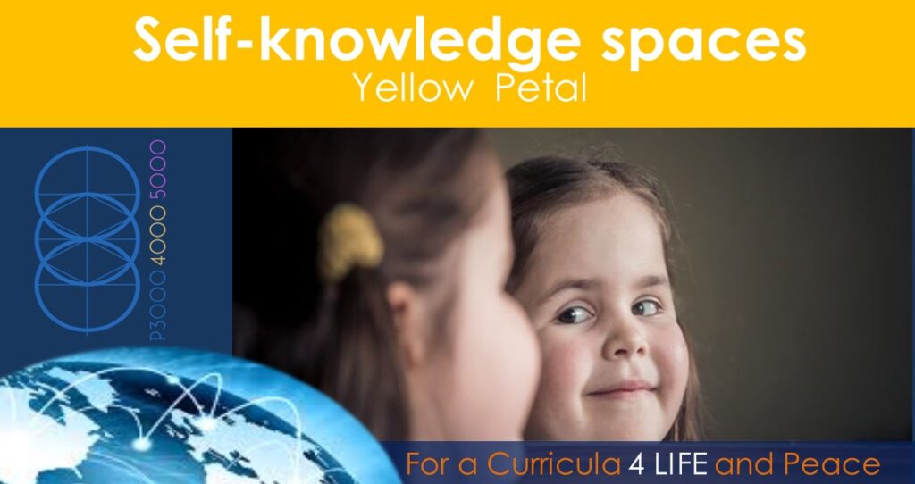 Self-knowledge spaces