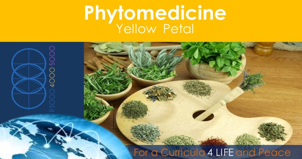 Phytomedicine