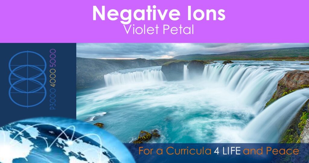 Negative Ions